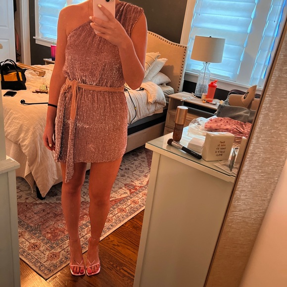 Retrofete Ella Sequin Dress - Dusty Rose XS - Picture 5 of 5